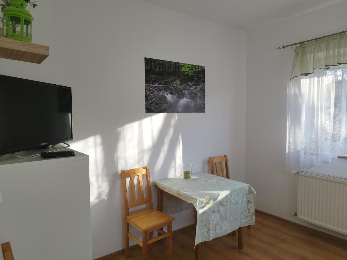 Apartamento Jaskółka Lądek-Zdrój Exterior foto